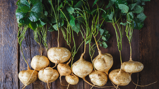 Yam Bean or Jicama